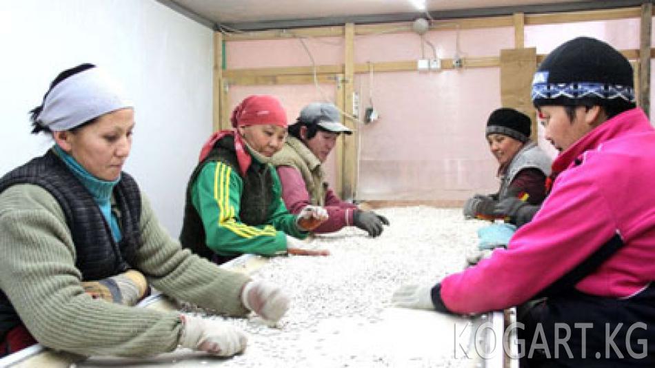 ЭВФ өлкө экономикасы быйыл бир аз жакшырганын жарыялады