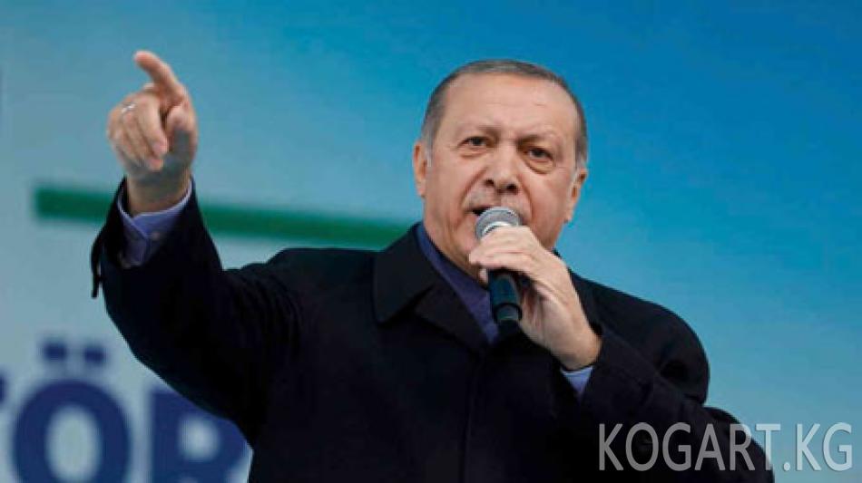 Эрдоган Европаны 