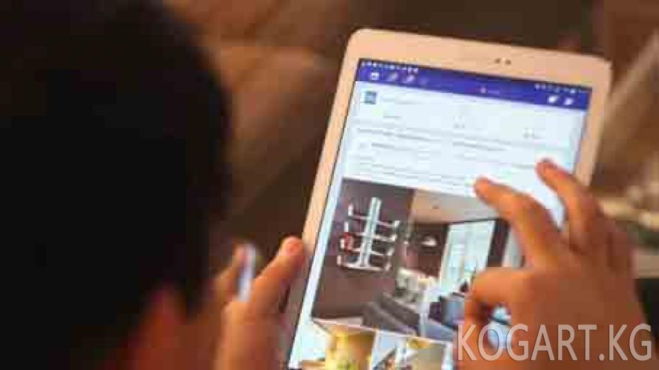 ИИМ: Интернетте улут аралык кастыкты козуткандар кармалды