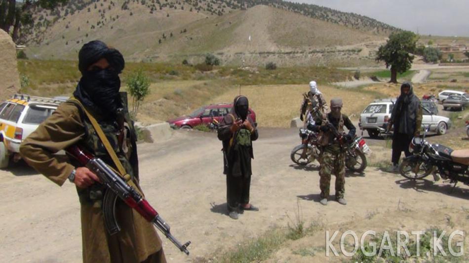 Талиптер Ооганстандын үчүнчү районун ээлеп алышты