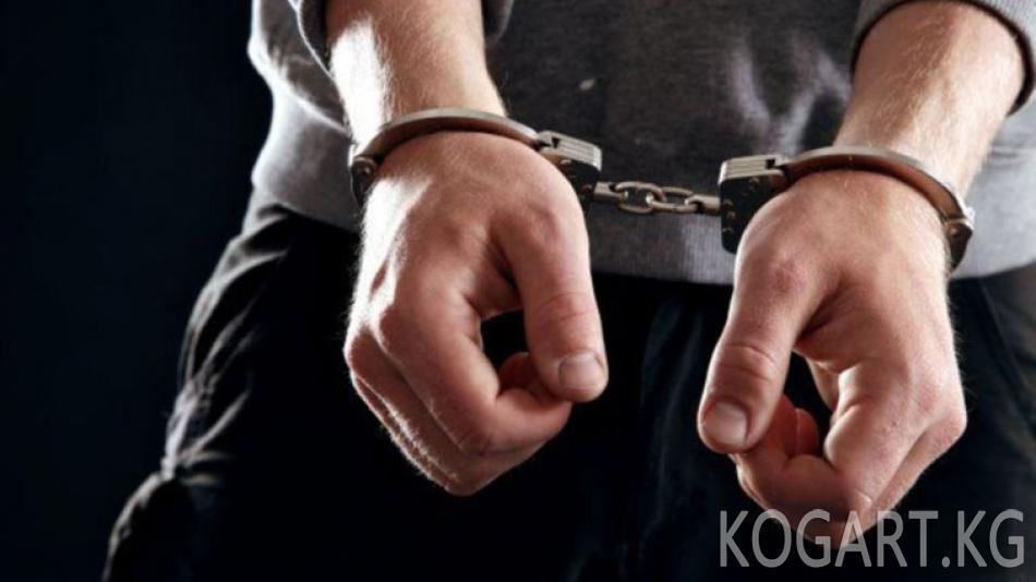 ИИМ: Сирияга жөнөгөн жаран колго түштү