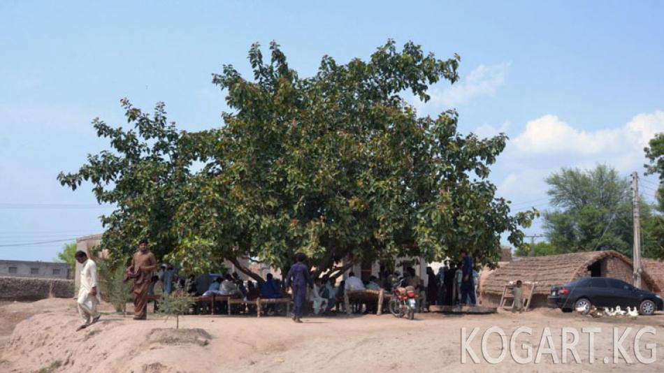 Пакистанда өч алуу үчүн кыз зордуктоого буйрук бергендер кармалды