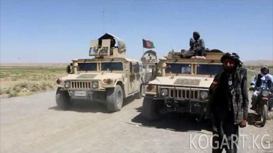 ИМ жоочулары Ооганстанда 50гө жакын адамды өлтүрүштү