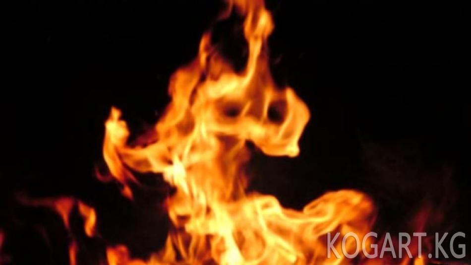 Өзбекстанда үй талашкан келин кайненесин өрттөп жиберди