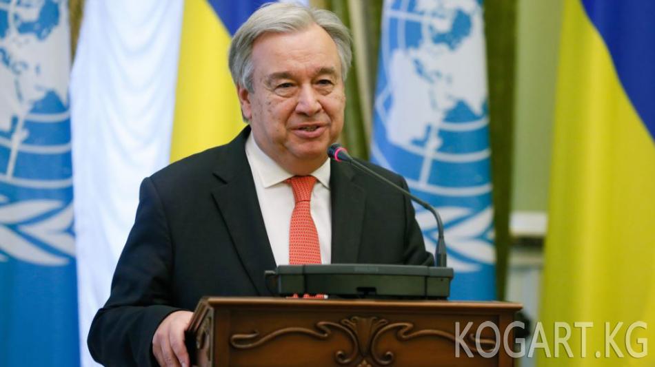 БУУнун баш катчысы күрт референдумуна каршы чыкты