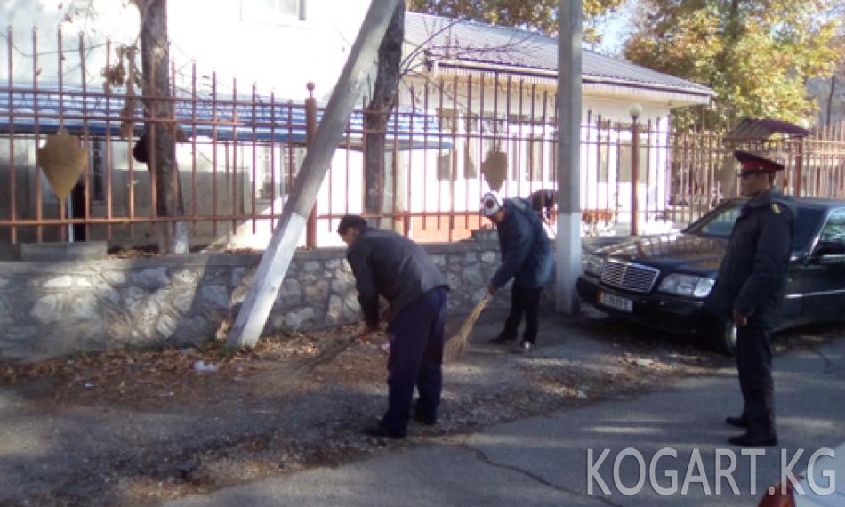 Жалал-Абадда бейбаштык кылгандар коомдук жумушка тартылууда (ФОТО)