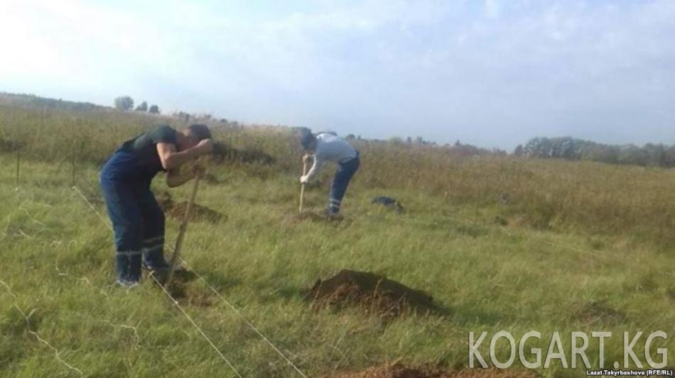 Орусия ТИМи Тулада кыргыз айылын курууга тыюу салууну текшерет