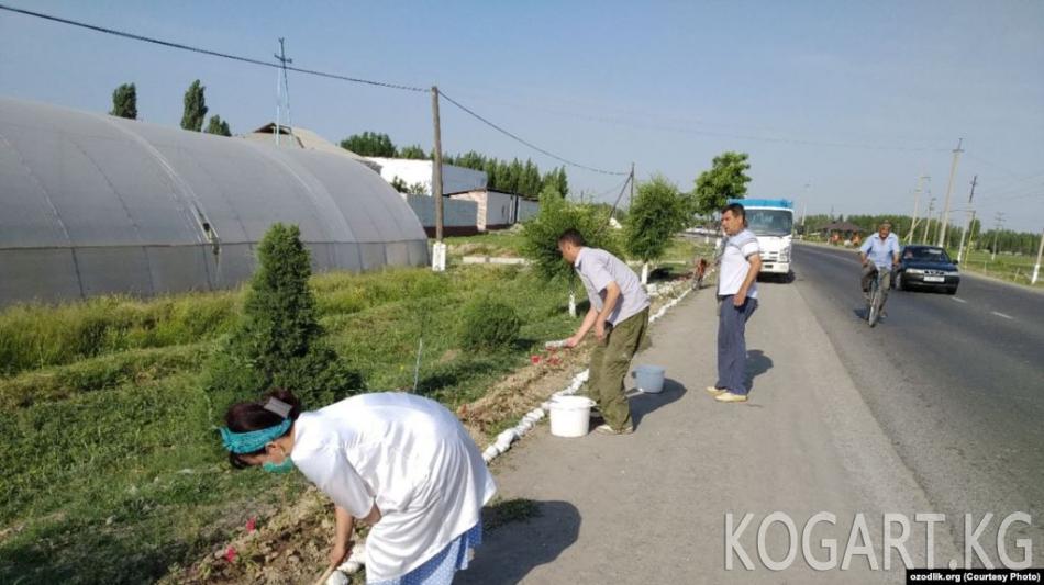 Анжиянда Мирзиёевдин келишине карата көчөдөгү гүлдөрдү сугарып...