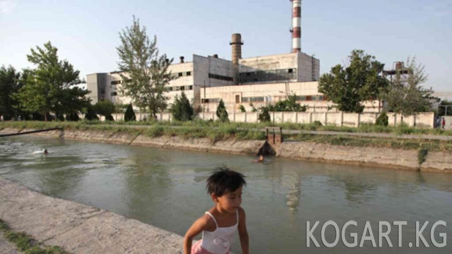 Өзбекстанда «Өзметкомбинат» менен иштешкен 80дей кызматкер камалды